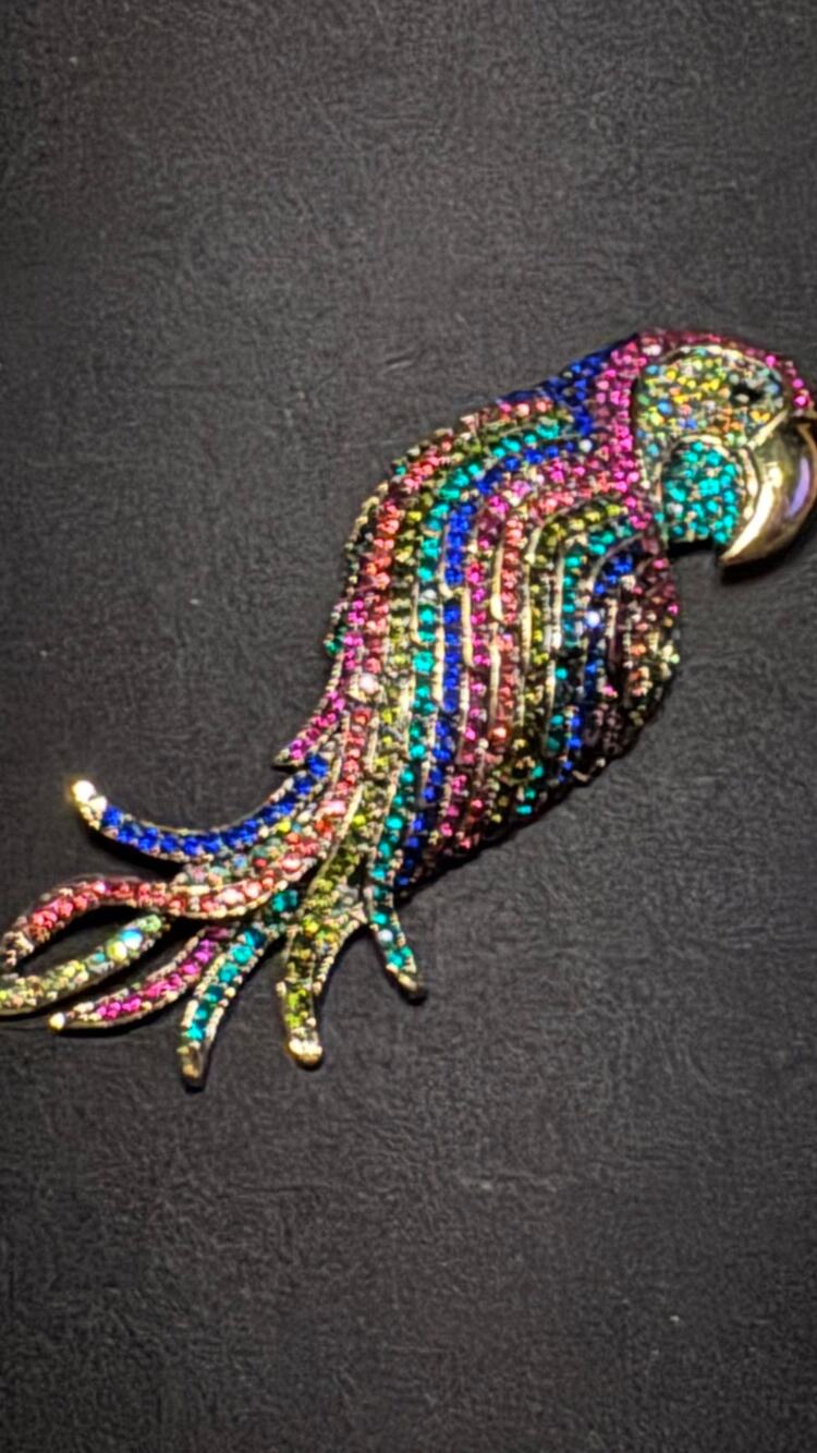 Large Rhinestone Parrot Brooch